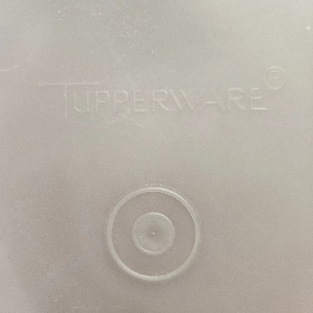 Tupperware Rectangular Storage Container Burnt Orange Rust with Translucent Lid